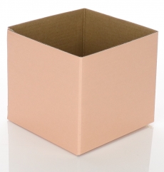 BOX MINI GLOSS PEACH BLUSH 12.5x12.5x11.5H